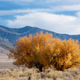Image for article titled Meet Your Three New National Monuments